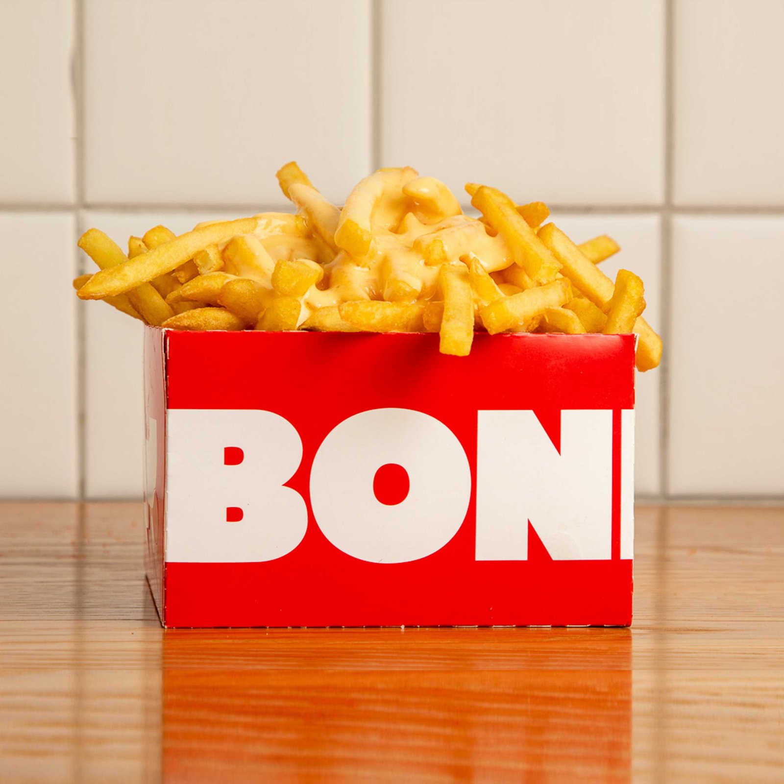 CHEESY FRIES