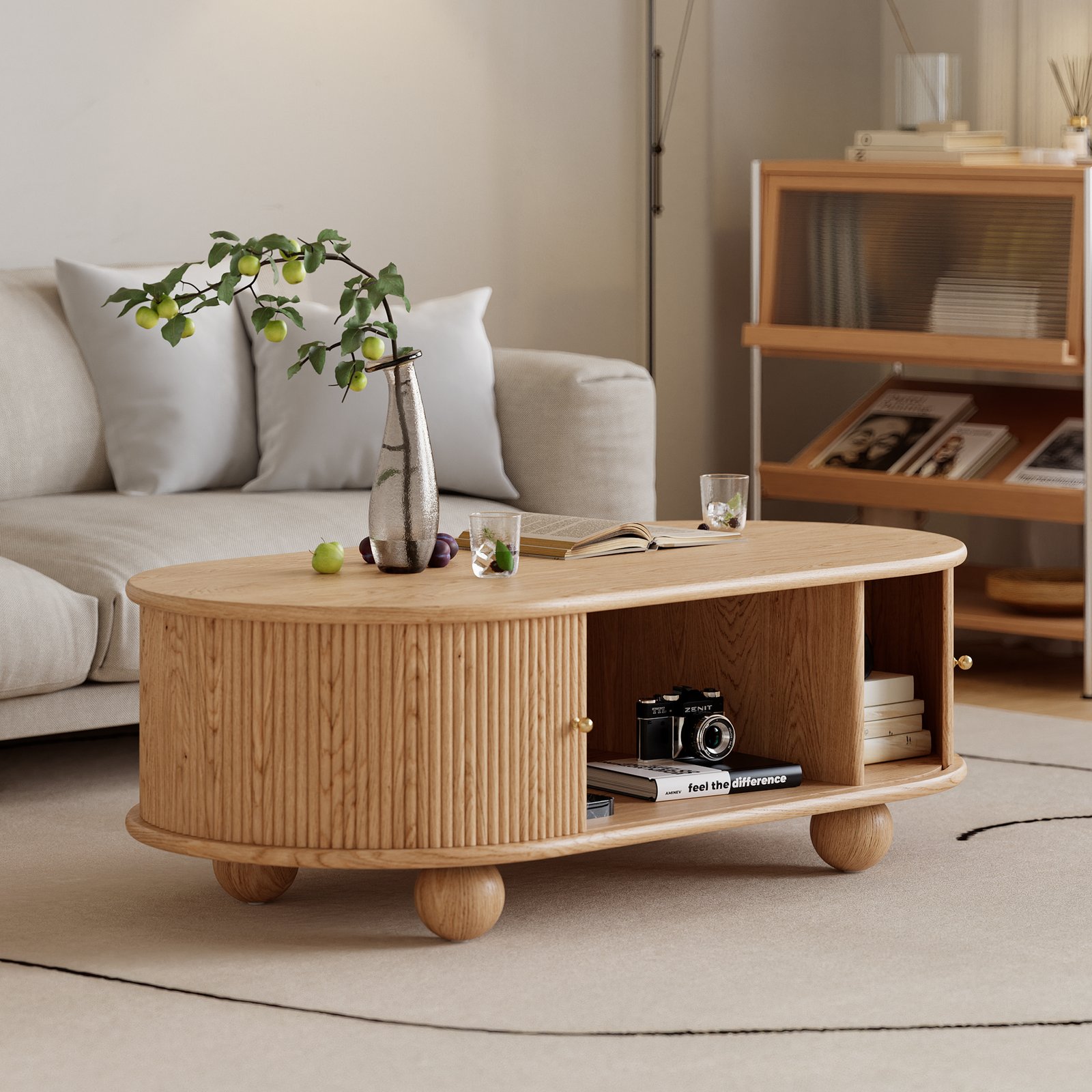 Storage Coffee Table